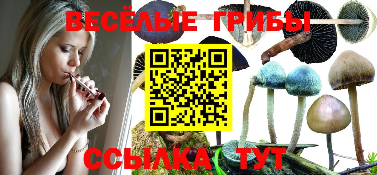 Галлюциногенные грибы Magic Shrooms Нижнеудинск