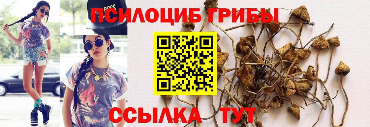 Псилоцибиновые грибы мухоморы  Вход с VPN  где найти   Нижнеудинск 