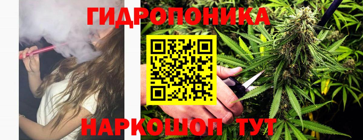 Бошки Шишки план  Вход с VPN  Марихуана Ganja  Нижнеудинск 